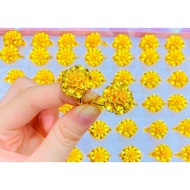 New high quality 24 color apricot flower ring