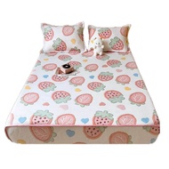 Winter Coral Fleece Fitted Sheet One-Piece Fleece-lined Thickening Bedspread 2023 Flannel Mattress Cover Protective Cover Non Slip Latex