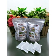 XTRA Combo of 3 Bags of Thai Stem Borers