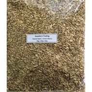 Fennel Seed / Jintan Manis /  Jintan Kasar / Jintan Besar