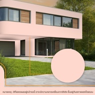 TOA สีทาบ้านผสมรองพื้น เฉดสีใหม่ มินิมอล มูจิ ขนาด 9 ลิตร ภายในด้าน โฟร์ซีซั่นส์ 4 Seasons 2in1