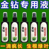 3.47 Readystock Gold Diamond Nutrient Solution Special Fertilizer Household Indoor Flower-raising Gr