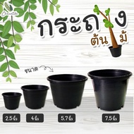 [ติดตามลด 20%] กระถางต้นไม้ สีดำ พลาสติกเหนียว ทนทาน มีหลายขนาด