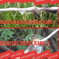 [project] Pulut Bird Trap Bird Glue Sap BENDO Rubber Rubber Trap Bird Trap Glue Trap