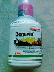 BENEVIA CYANTRANILIPROLE INSECTICIDE (250 ML) BY FMC