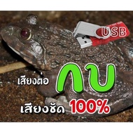 Frog Sound Usd Length 24 Hours