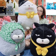 Teddy Bear 346 Amuse Cat - Jennifer 2 Days 1 Night - High quality stuffed animal pillow