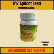B17 Apricot Seed 300mg ( kapsul Biji Apricot )