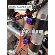 TITANIUM PURPLE GR5 STAINLESS STEEL SCREW CALIPER YAMAHA Y15ZR Y16ZR LC135 LAGENDA SOLARIZ AVANTIZ S