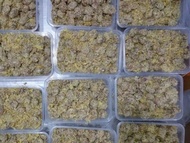 [ Sẵn hàng ] Combo 1000g ô mai mơ gừng chua mặn ngọt