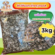 [3 kg] Epot Sunflower Seeds For Parrots Various Rodents Grade A Size 3 kg.