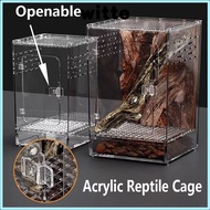 WITTE 1Pcs Reptile Feeding Box, High Transparent Acrylic Ecological Desert Landscaping Box,  Anti-Es