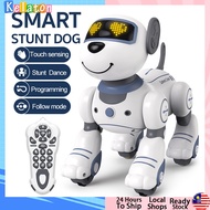 RC Electronic Pets Robot Dog Music Intelligent Remote Control Robot Dog Toy Mainan Anjing Robot Pint