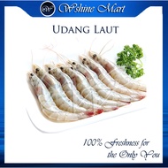 [100% No Chemical] Udang / Udang Laut / Fresh Sea Prawn 500gram Udang Segar Udang Bela  [Fresh Seafo