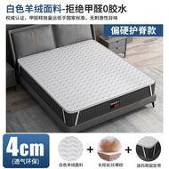 Fashionable Comfortable Mattress with Firm Cushion for Waist and Spine Protection, Soft Mattress wit