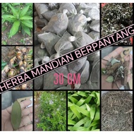 Mandian Berpantang 30gram |Mandian Herba Pantang|Mandian Herba|Mandian Berpantang|Mandian Bersalin|B