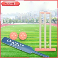 [pugwsl] Kids Cricket Set Indoor Play Hand Eye Coordination Beach Cricket Garden Cricket Set for Yar
