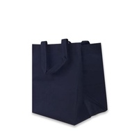 Spunbond Box Bag 22x26x20 (Rice Box 18x18)