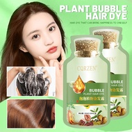 10PCS CQRZEN Bubble Hair Dye Shampoo Nourishes Hair Dye Cream