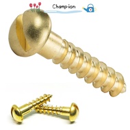 CHAMPIONO Wood Screws Hardware Fasteners Slotted Drive Tapping Solid Brass
