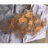 CT218G017 SOSHOKU ตกแต่งผนัง ตกแต่งบ้าน ร้านอาหาร Wall decoration เสริมฮวงจุ้ย