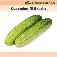 Seeds : Timun (5 seeds) / Cucumber / 黄瓜 种子 biji benih
