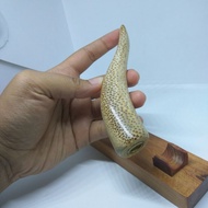 once pipa rokok kayu Nibung tembus cahaya panjang 12cm