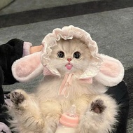 Cat Headgear Rabbit Hat Pet Hat Photo Hat Pet Cute Photo Hat Pet Hat