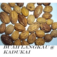 Buah Langkau Kasar @ Halus (Kadukai) 100gm / 50gm ready stock
