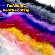Tali Bulu Color/ Feather Strip/ Bulu-bulu Boa / Feather Lace / Lace Bulu Ayam