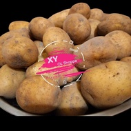 Baguio fresh patatas - potatoes