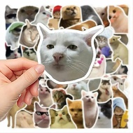 15 Pcs Cat Meme Stickers | Mr. meme cat stickers | Cute Cat Stickers | Latest Cat Stickers
