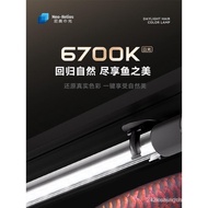 New Model Second Generation Neo Fish Tank Light SOLAR Enhancing Hair Color for Thunder Dragon led Ar