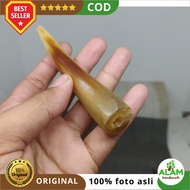 cod Pipa Tanduk Asli Tembus Cahaya