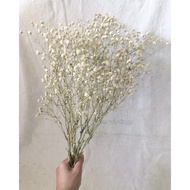 Dried Gypsophila Bouquet Bunga Hiasan Flower Bouquet