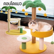 【Home_Master】คอนโดแมว รูปต้นมะพร้าว ที่นอนแมว ที่ฝนเล็บแมว เสาลับเล็บแมว ขนาดใหญ่
