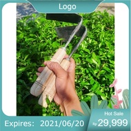 Thick Steel Hoe Mini Hoe/ Good Quality Gardening Hoe
