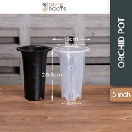 5 Inch Transparent Orchid Pot Tall for Aroid Plants Propagation Flower Pot