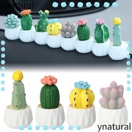 YNATURAL Cactus Car Ornament, DIY Cactus Bonsai Model Succulent Plant Pots, Gift Resin Mini Cute Hom