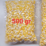 Jagung Pipil  jagung manis/sweet corn