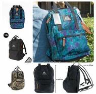 【長期接單】🎒開學季🤗Gregory 小背包 Easy Peasy Daypack 18L