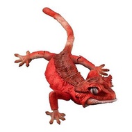 新箱識 🌟9月新貨🌟 現貨 行版 Bandai Advance 扭蛋 生物之大圖鑑 鳳頭守宮 睫角守宮 紅色