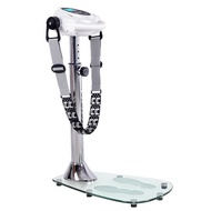 Massage Machine Fat Loser Fitness Equipment Jason JS301 Sports JS306/Waist Beauty Machine Fat Shakin