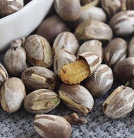 坦克蟲 倉鼠食品 熊仔鼠 零食