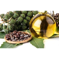 Castor Oil Bottle 100ml (Castor Oil)