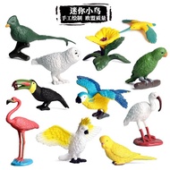、‘、。； Simulated Mini Bird Animal Parrot Hummingbird Woodpecker Owl Solid Model Birds Set Desktop Decor Toys Figurines Action Figures