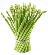 Jersey Knight Asparagus Plants Crowns Roots Bare Root Garden 25 Ea All Male by Grower's Solution