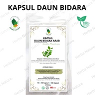KAPSUL EKSTRAK DAUN BIDARA ARAB ISI 100 KAPSUL