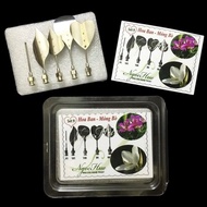 Set of 5 3D jelly making tools - Set of 9 - ban flower making Set, beefPiece - Code 1270