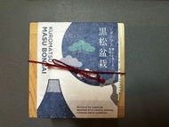 Seishin 黑松木盆栽培育套裝 (Kuromatsu Masu Bonsai Kit)